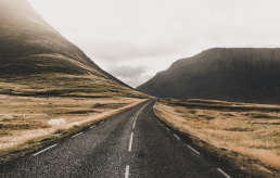 moviiu transporteur oeuvres d'art