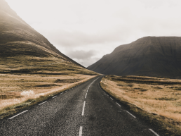 moviiu transporteur oeuvres d'art