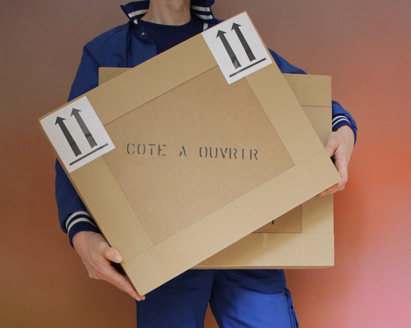 Moviiu art transport